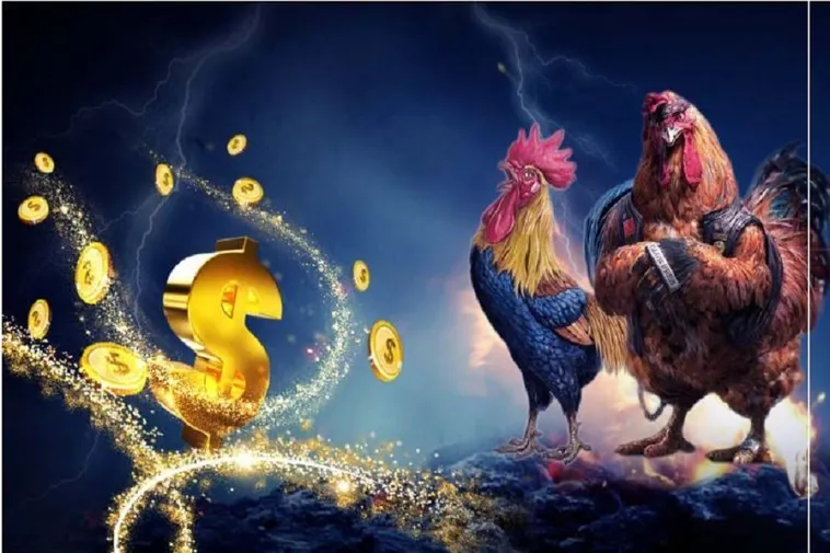 Hướng Dẫn Chơi Đá Gà Sabong Tại Loto188: Chi Tiết Và Cụ Thể
