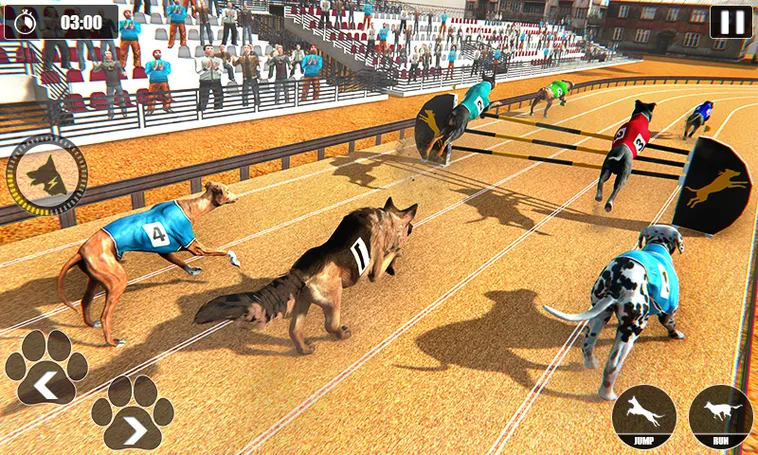 Hướng Dẫn Cách Chơi Game Nhanh Đua Chó Tại Loto188 Thành Công